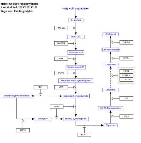 Cholesterol biosynthesis