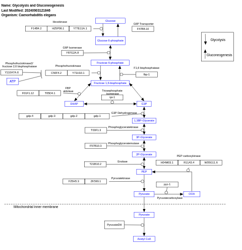 Glycolysis and Gluconeogenesis