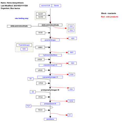 Heme biosynthesis