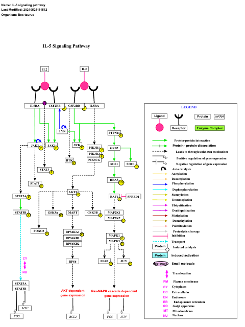 IL-5 signaling pathway