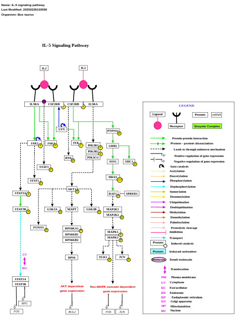 IL-5 signaling pathway