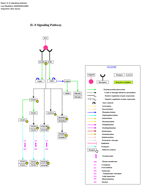 IL-9 signaling pathway