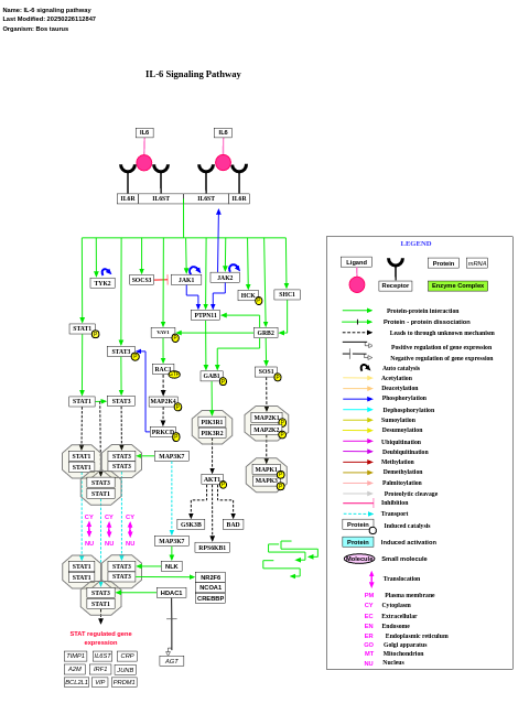 IL-6 signaling pathway