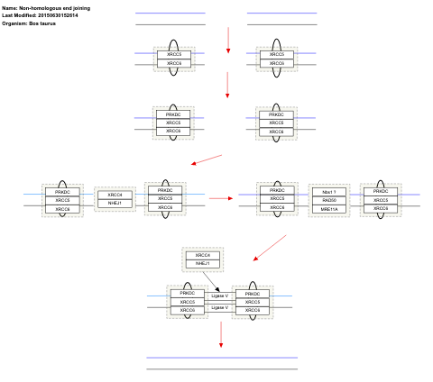 Non-homologous end joining