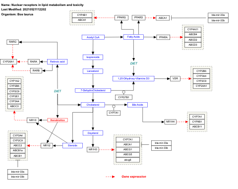 Nuclear receptors in lipid metabolism and toxicity