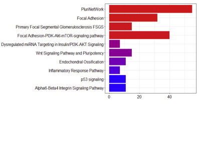 Enrichment Analysis