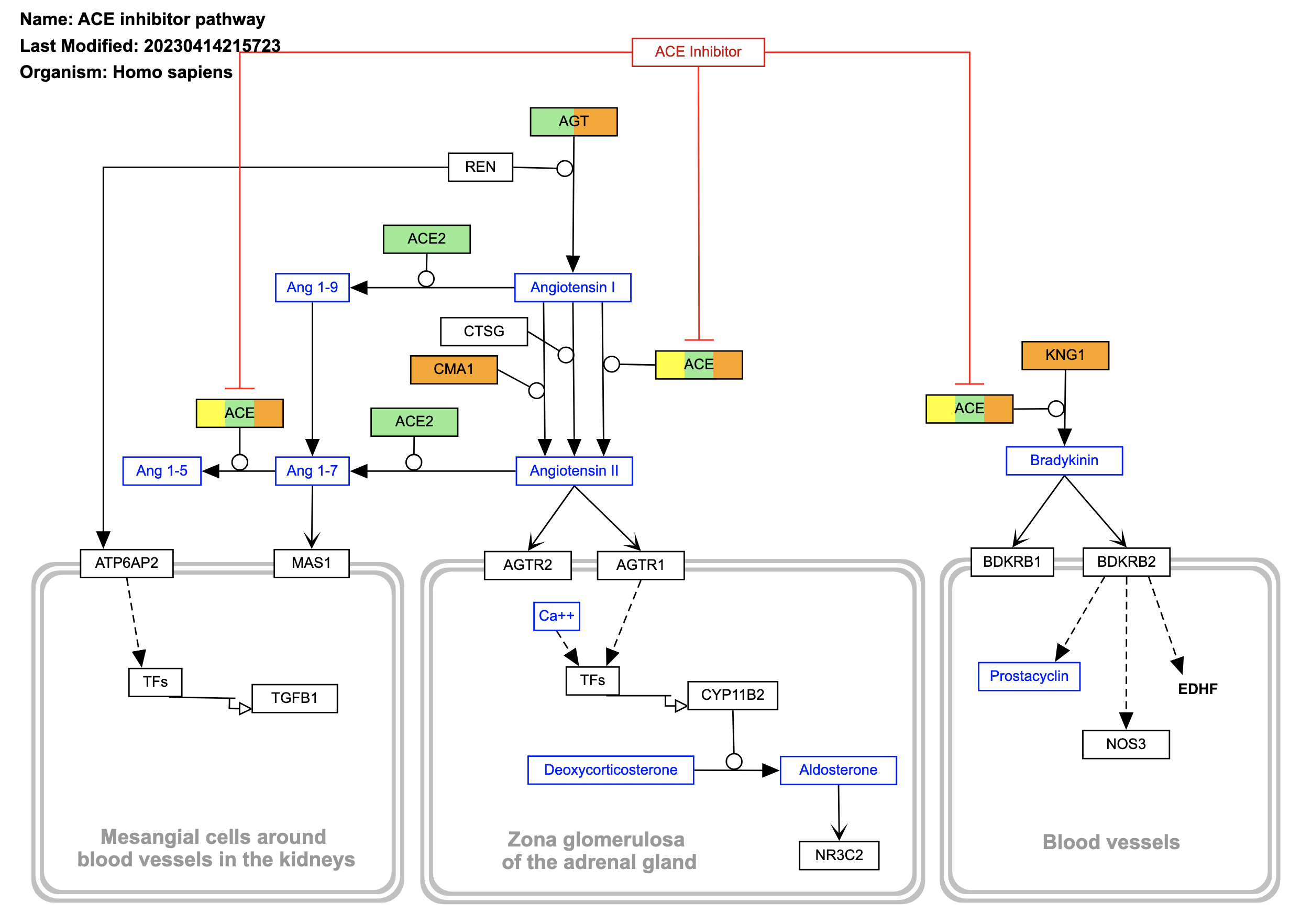 Node Coloring Example Multiple