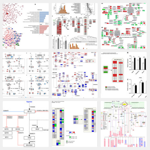 Publications using WikiPathways