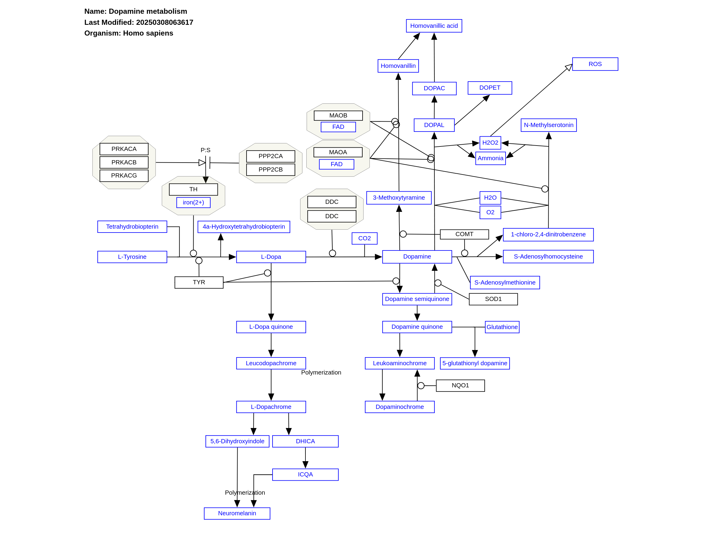 Metabolism - Wikipedia